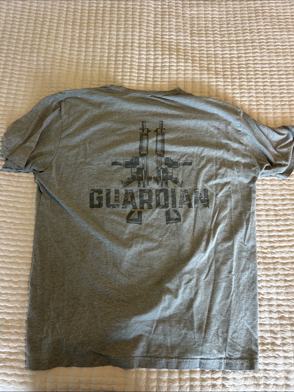 Guardian Graphic Tee - Men's Gray Crew Neck Shirt